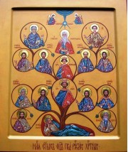 Богослужение в Неделю перед Рождеством Христовым. Память святых отец