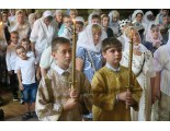 Богослужение Недели 7-й по Пятидесятнице